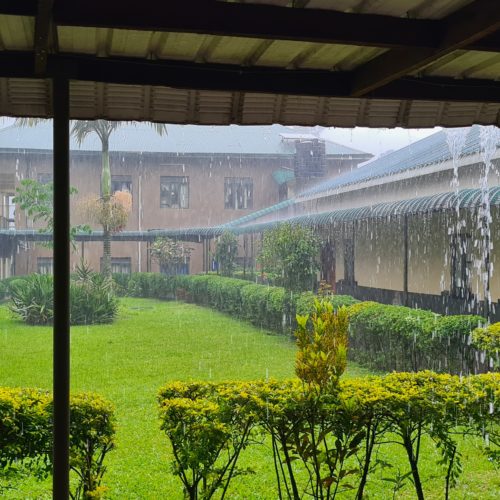 Pluie tropicale dans la cour